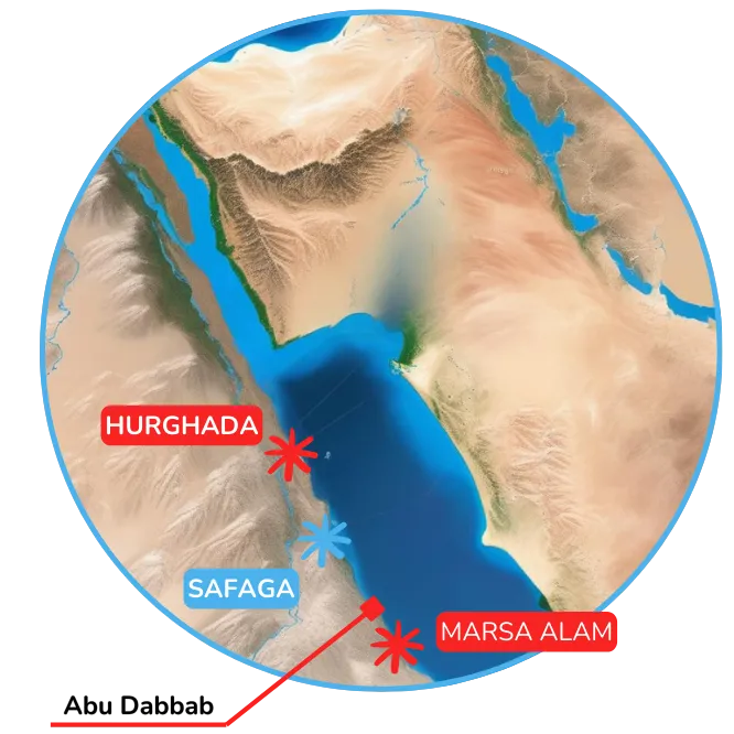 Illustrated map of a coral garden dive site.