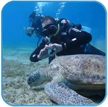 A diver photographing a sea turtle underwater.