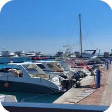 A sunny view of a harbor with multiple boats and yachts moored at the dock, clear blue sky above, indicating a leisure or marine activity area.