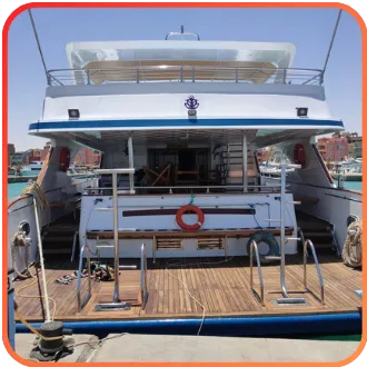 The rear view of a large, white and blue dive boat with a spacious deck prepared for divers, docked in a marina.