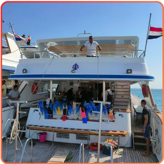 The rear view of a large, white and blue dive boat with a spacious deck prepared for divers, docked in a marina.