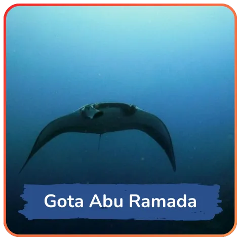 Silhouette of a manta ray gliding gracefully in the blue ocean depths with the caption "Gota Abu Ramada" indicating a diving site or area.