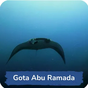 Silhouette of a manta ray gliding gracefully in the blue ocean depths with the caption "Gota Abu Ramada" indicating a diving site or area.