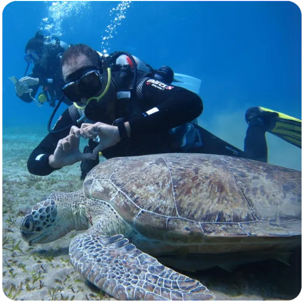 A diver photographing a sea turtle underwater.