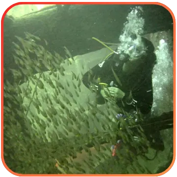 A scuba diver swimming next to a school of fish inside a sunken ship, showcasing the harmony between human and marine life.