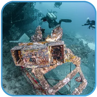 Underwater view of a complex shipwreck teeming with coral growth and fish, indicating a rich artificial reef ecosystem.