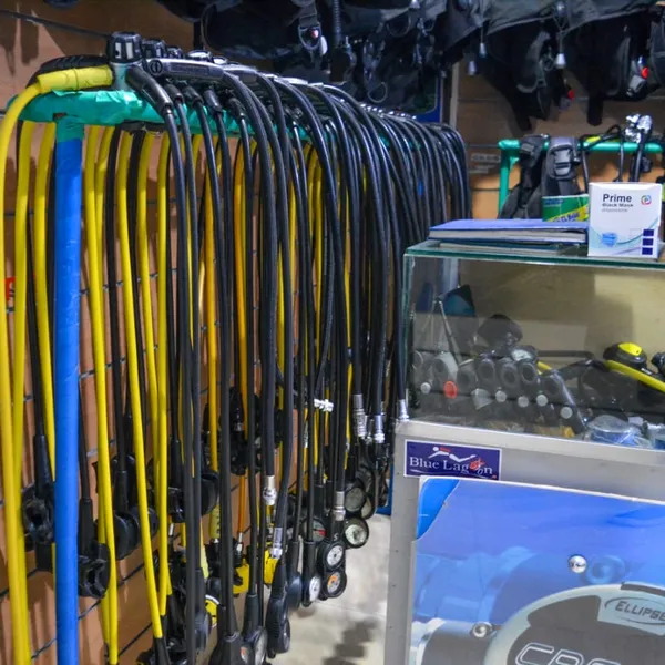 A row of colorful scuba diving fins displayed on a rack.