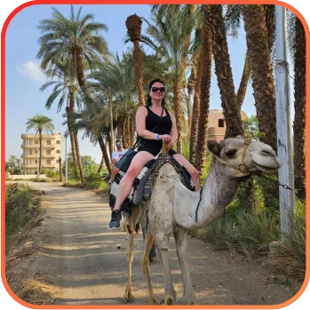 A woman riding a camel on a sandy path flanked by palm trees, suggesting a desert oasis or tourist activity.