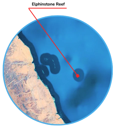 An aerial view of Elphinstone Reef with a red line indicating a route or point of interest on the reef.