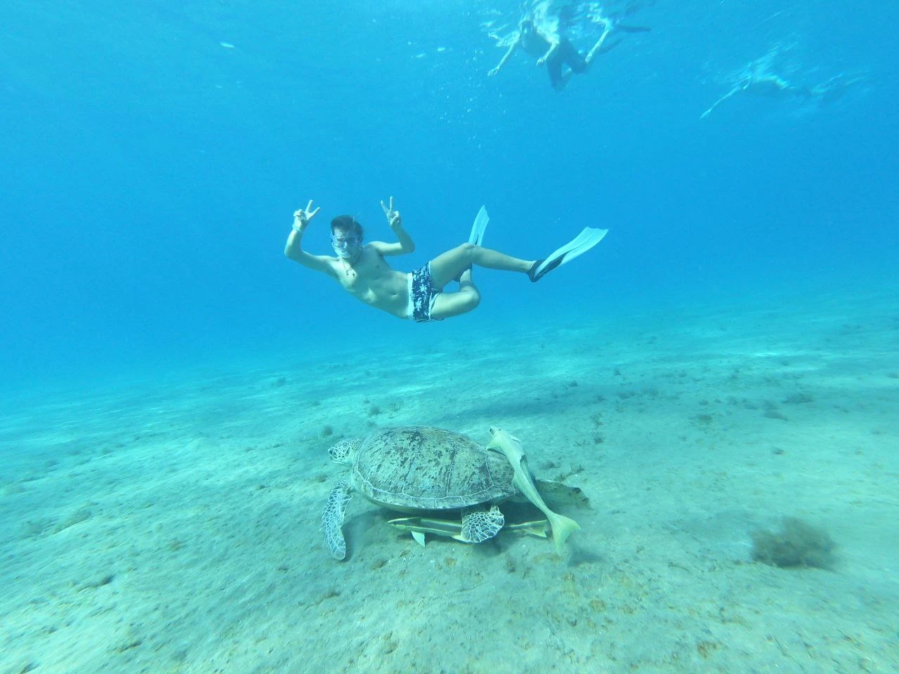 Underwater photo of a man in swimming trunks giving a peace sign with both hands while floating above a sea turtle on the ocean floor.